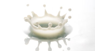 乳製品のイメージ